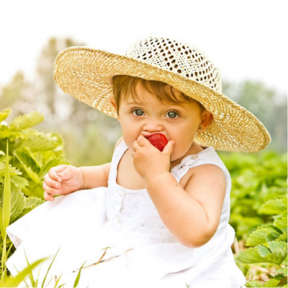 Strawberries-10