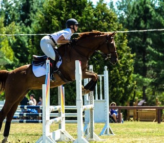 centre-equestre-notre-dame-5